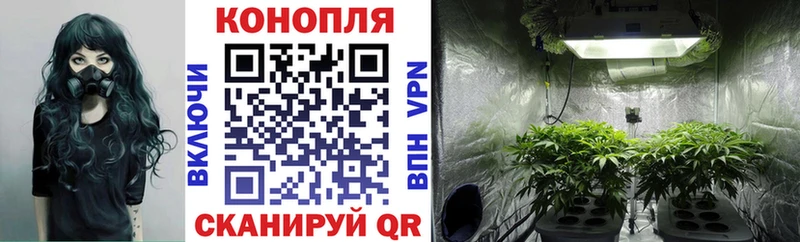 Марихуана Amnesia  Слободской 